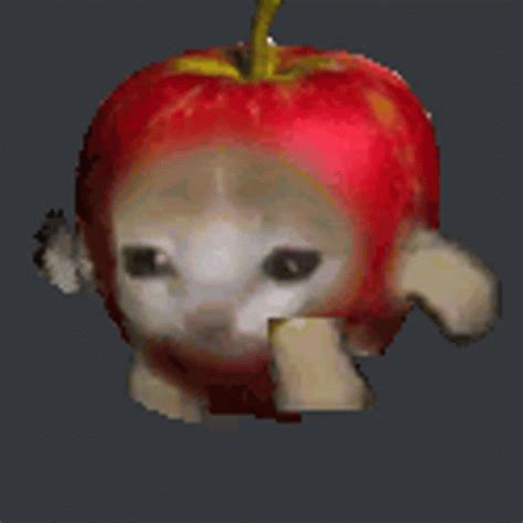 Is apple cat good. Things To Know About Is apple cat good. 